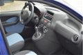 Fiat Panda - 1.2 Edizione Cool - 1 - Thumbnail