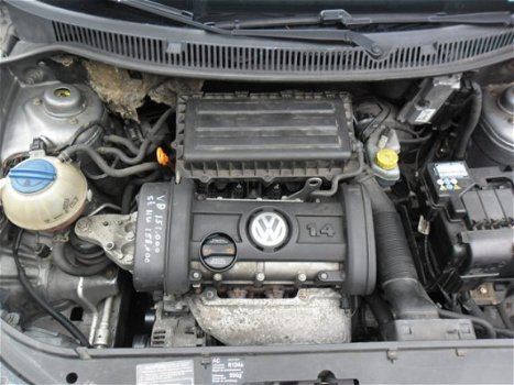 Volkswagen Polo - 1.4-16V Optive - 1