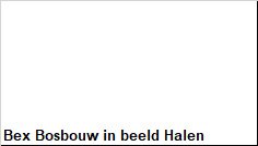 Bosbouw Halen - 4