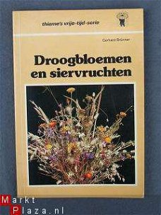 Droogbloemen en siervruchten