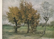 Vincent van Gogh Herfstlandschap Nuenen 1885
