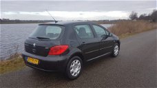 Peugeot 307 - 1.6-16V XS