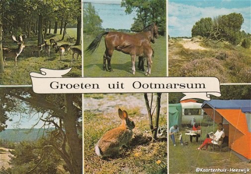Groeten uit Ootmarsum 1971 - 1