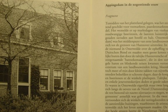 Groningen. Stad, land en letteren - Afbeelding 4