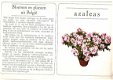 Boek - Bloemen en planten uit België - 3 - Thumbnail