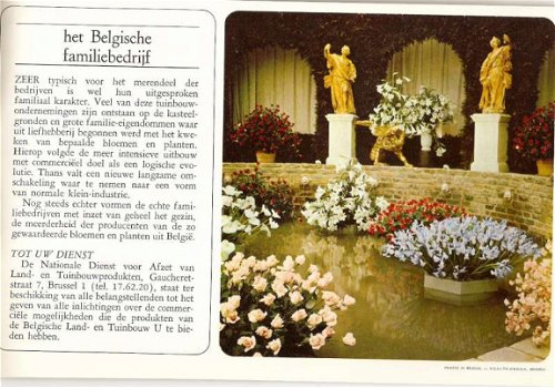 Boek - Bloemen en planten uit België - 4