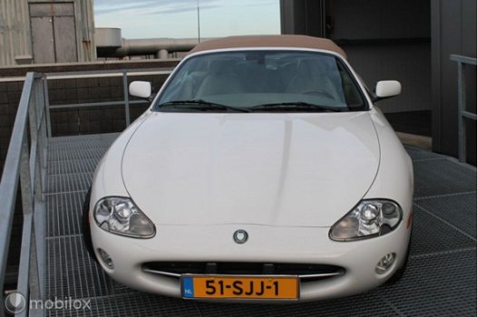 Jaguar XK8 - 4.0 V8 Convertible - 1