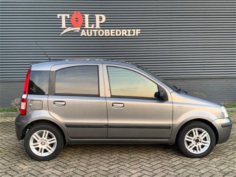 Fiat Panda - 1.2 Edizione Cool - 1