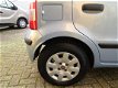 Fiat Panda - 1.2 Edizione Cool - 1 - Thumbnail