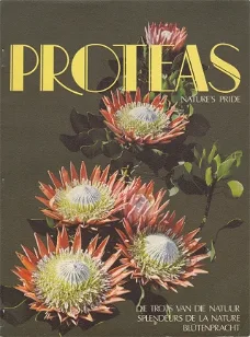 Proteas, Nature's Pride