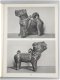 The Harcourt Johnstone collections - 4 - Thumbnail