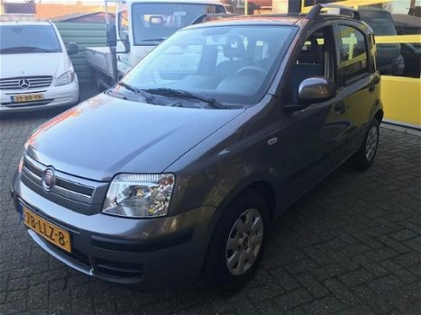 Fiat Panda - 1.2 Edizione Cool - 1