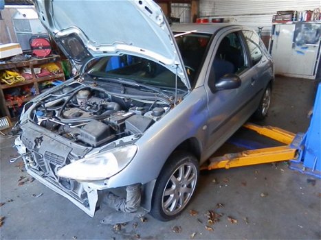 Peugeot 206 - 1.1 XR airco haleen plaat rij baar schade - 1