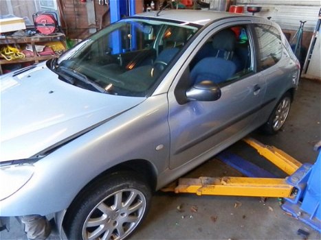 Peugeot 206 - 1.1 XR airco haleen plaat rij baar schade - 1