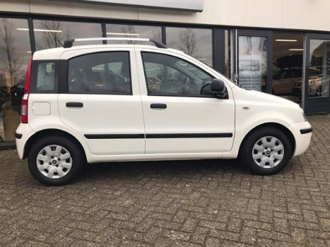 Fiat Panda - 1.2 Edizione Cool incl. nieuwe APK en 12 mnd mobiliteitsgarantie - 1