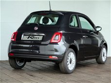 Fiat 500 - 1.2 Young / Navigatie / 15" Velgen