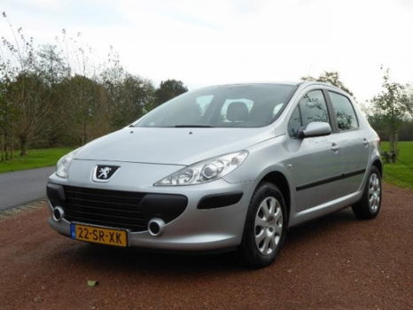 Peugeot 307 - 1.4-16V XR Km 135767 - 1