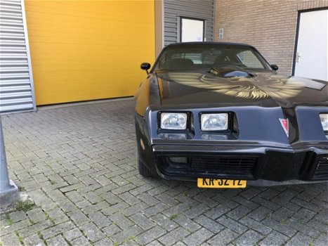 Pontiac Firebird - Trans AM Firebird Barn Find Smokey and the Bandit - 1