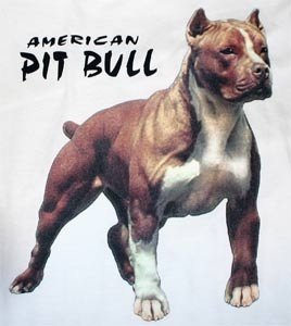 American Pitbull artikelen. - 1