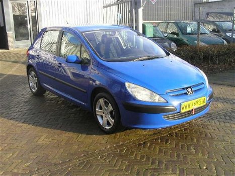 Peugeot 307 - 2.0-16V XS nap sturbekr - 1