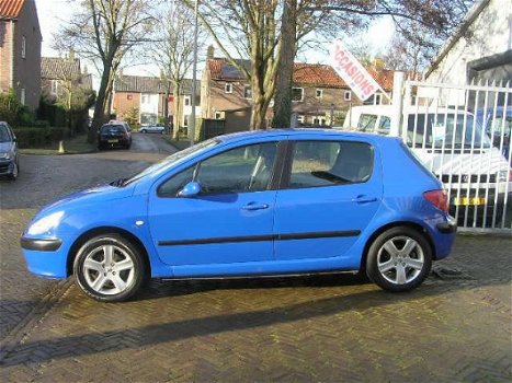 Peugeot 307 - 2.0-16V XS nap sturbekr - 1