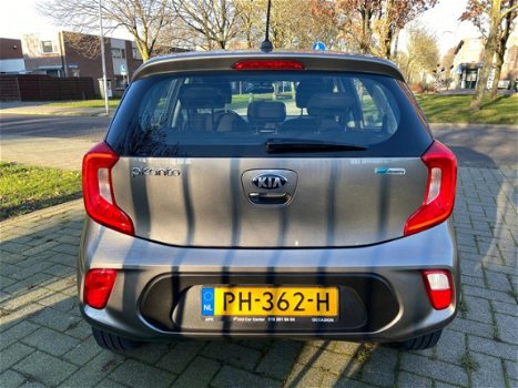 Kia Picanto - 1.0 CVVT First Edition - 1