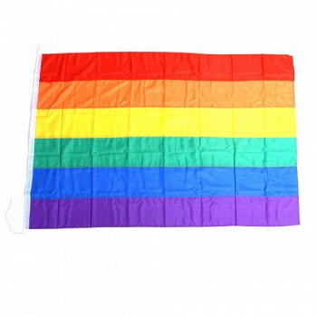 Regenboog vlag groot en klein - 1