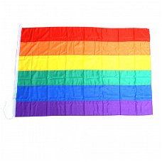 Regenboog vlag groot en klein