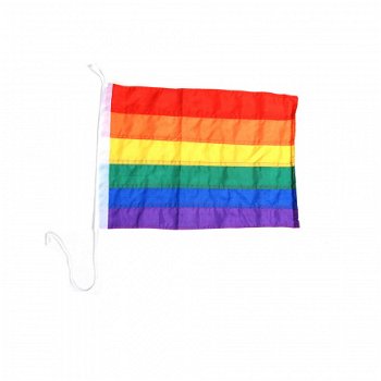 Regenboog vlag groot en klein - 2