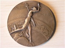 The www.medalist.nl  Promotion / Penningen Medailles  P.M.Dammann Penningkunst Hyve