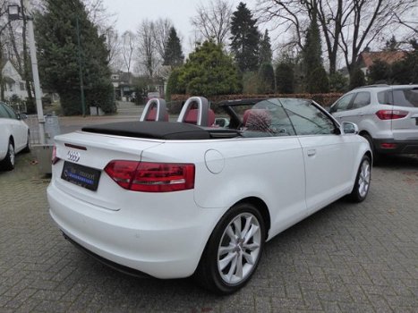 Audi A3 Cabriolet - 1.2 TFSI Ambition Pro Line 35dKM|Navi|Leder|Xenon - 1