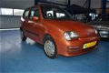 Fiat Seicento - 1100 i.e. Young - 1 - Thumbnail
