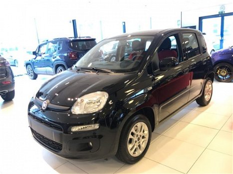 Fiat Panda - 1.2 Lounge - 1