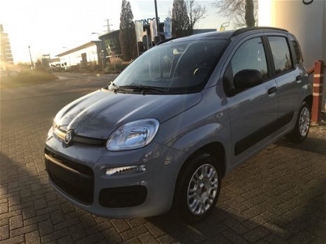 Fiat Panda - 1.2 Easy - 1