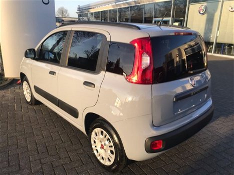 Fiat Panda - 1.2 Easy - 1