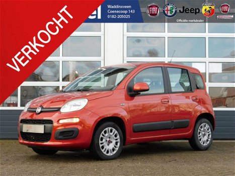 Fiat Panda - TA 80 Edizione Cool - 1