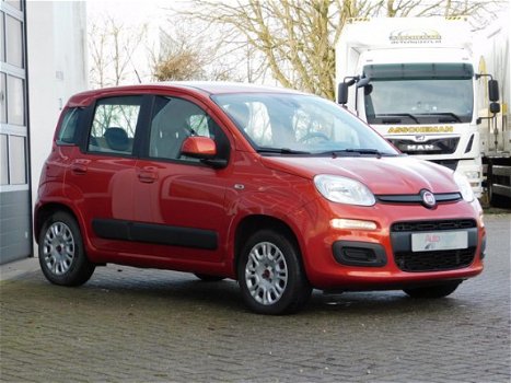 Fiat Panda - TA 80 Edizione Cool - 1