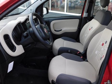 Fiat Panda - TA 80 Edizione Cool - 1