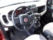 Fiat Panda - TA 80 Edizione Cool - 1 - Thumbnail