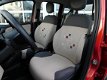 Fiat Panda - TA 80 Edizione Cool - 1 - Thumbnail