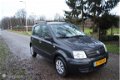 Fiat Panda - 1.2 Dynamic ACTIEPRIJS nu voor 1599 NAP - 1 - Thumbnail