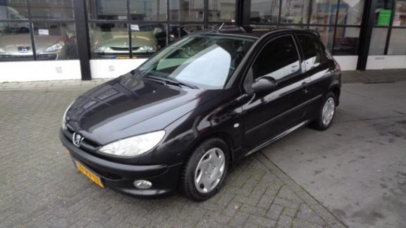 Peugeot 206 - 1.4 Pop' Art Riem Vervangen Bij 154000 - 1