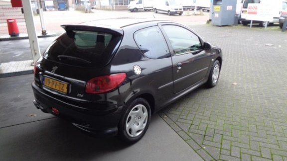 Peugeot 206 - 1.4 Pop' Art Riem Vervangen Bij 154000 - 1