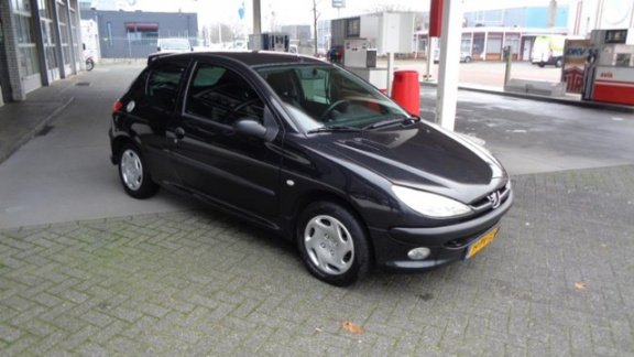 Peugeot 206 - 1.4 Pop' Art Riem Vervangen Bij 154000 - 1