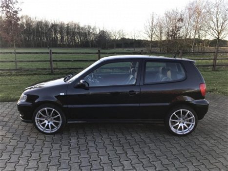 Volkswagen Polo - 1.6-16V GTI - 1