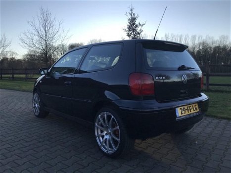 Volkswagen Polo - 1.6-16V GTI - 1