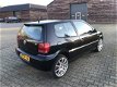 Volkswagen Polo - 1.6-16V GTI - 1 - Thumbnail