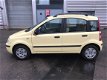 Fiat Panda - 1.2 Dynamic - 1 - Thumbnail