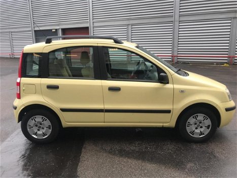 Fiat Panda - 1.2 Dynamic - 1