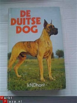 De Duitse dog door N. Dhont - 1